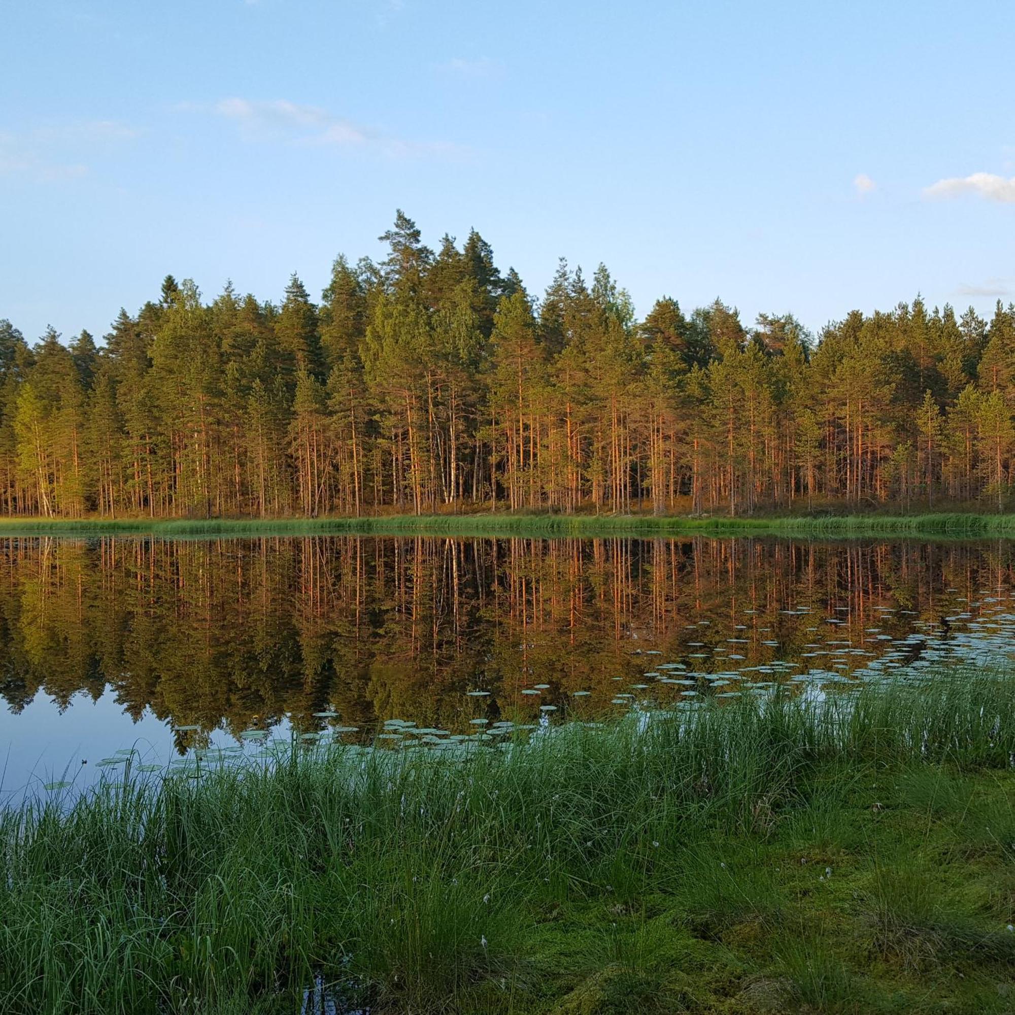 Villa Vuorenpaeae Tammela 외부 사진