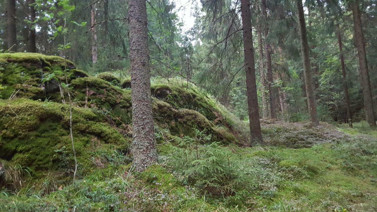 Villa Vuorenpaeae Tammela 외부 사진